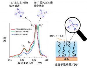 図2　 高分子電解質ブラシ中の水の酸素 1s 発光スペクトル