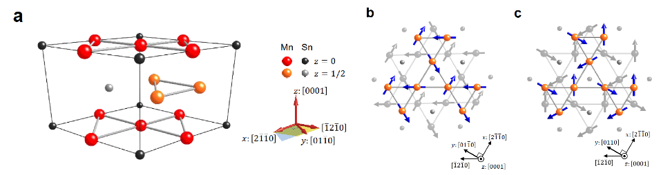図１：反強磁性体Mn3Snの結晶構造と磁場中での磁気構造。 (a) z = 0面とz = 1/2面の二層を持つカゴメ格子構造と呼ばれる三角形ベースの結晶構造。(b) 磁場B // [2110] にかけた場合の逆120度構造と呼ばれるMnスピンの磁気構造の様子、ならびに（c）磁場B  // [01-10] にかけた場合の逆120度構造を持つ磁気構造の様子。