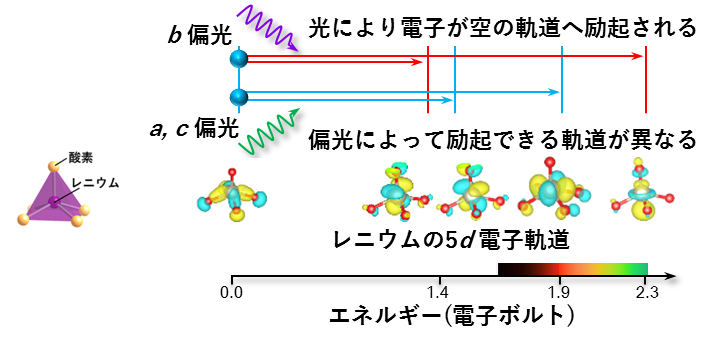 図３　レニウムの5d軌道の配列と光吸収の模式図。光の偏光方向と軌道の対称性によって、吸収される光のエネルギーが変化する。