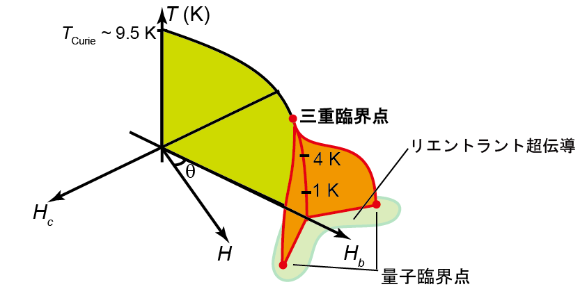 URhGeの三次元相図オレンジ色の面上で磁気スピンの一次相転移が起こる。三重臨界点はその一次相転移が起こる面の起点となっており、4K以上の高温にあるのに対して、特異な超伝導(リエントラント超伝導)は高磁場（〜12 T)下かつ0.5 K以下の低温で起こる。