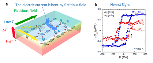 The anomalous Nernst effect in Mn3Sn(a) In the anomalous Nernst effect, the electromotive force is generated perpendicular to both the magnetization and thermal gradient. (b) As a result, the large anomalous Nernst signal can be observed with spontaneous magnetization as shown in (b).