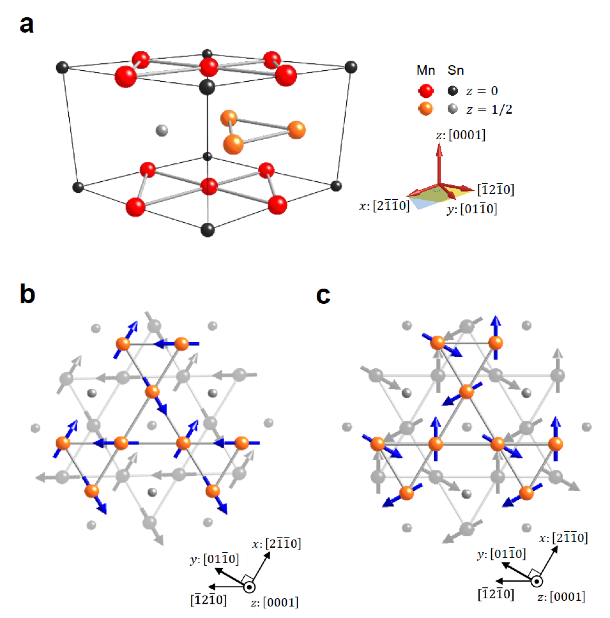 図１：反強磁性体Mn3Snの結晶構造と磁気構造。 (a) z = 0面とz = 1/2面の二層を持つカゴメ格子構造と呼ばれる三角形ベースの結晶構造。(b) 磁場B // [2110] にかけた場合の逆120度構造と呼ばれるMnスピンの磁気構造の様子、ならびに（c）磁場B  // [01-10] にかけた場合の逆120度構造を持つ磁気構造の様子。