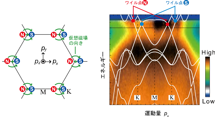 図3：（左） 磁場B // [2110] にかけた場合の反強磁性体Mn3Snでのワイル点の位置と仮想磁場の向き。（右) 光電子分光で得られたエネルギーと運動量の関係と理論計算（白線） の比較。バンドのクロス点 （ワイル点) に対応する光電子強度が観測されました。