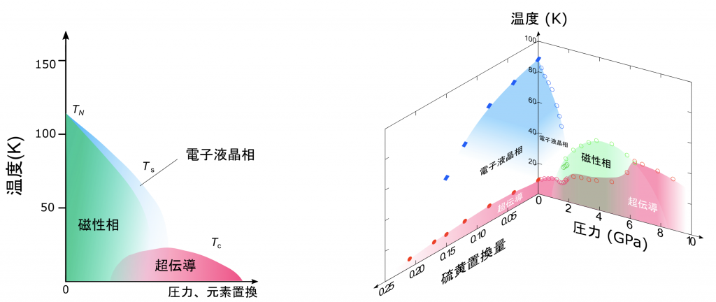 (図1) 左:縦軸を温度、横軸を圧力や元素の置換量にとったときに一般的に鉄系超伝導体で実現する状態をマッピングした図(電子状態相図)。電子液晶状態と磁性がほぼ同じ領域で発現するため、どちらが超伝導に寄与しているか明らかではない。右:本研究の動機となったセレン化鉄の硫黄置換した時の状態の変化と加圧したときの状態の変化。