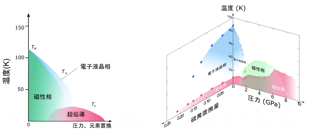 （図1） 左：縦軸を温度、横軸を圧力や元素の置換量にとったときに一般的に鉄系超伝導体で実現する状態をマッピングした図（電子状態相図）。電子液晶状態と磁性がほぼ同じ領域で発現するため、どちらが超伝導に寄与しているか明らかではない。右：本研究の動機となったセレン化鉄の硫黄置換した時の状態の変化と加圧したときの状態の変化。