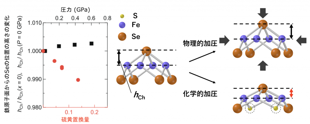 （図3） 物理的圧力（黒）と化学的圧力（赤）による結晶構造の変化とその概念図。図にあるように、鉄原子が構成する平面からの距離の変化が物理圧力と化学圧力で大きく異なることがわかる。なお、物理的圧力のデータは、[J. N. Millican et al., Solid State Commun. 149, 707-710 (2009)]から転載。