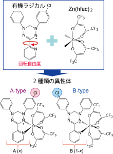 図1: 本研究で開発に成功した新規錯体分子Zn(hfac)2(AxB1-x)の分子構造。