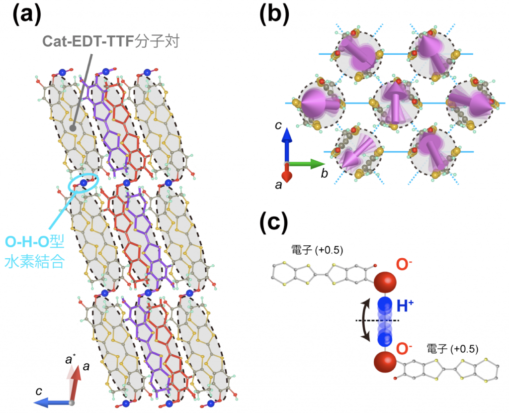 図２　本研究で対象物質であるκ-H3(Cat-EDT-TTF)2の結晶構造。（a）電子を担うCat-EDT-TTF分子同士が、誘電性を担うO-H-O型の水素結合で連結されている。この構造が本研究物質の最も特徴的な点である。（b）２次面（bc面）におけるCat-EDT-TTF分子の配列。点線で囲んだ２つのCat-EDT-TTF分子が対を作り、そこに１つのスピン（紫の矢印）がある。このスピンは、三角格子上に配列している。（c）O-H-O型の水素結合の拡大図。図２(a)の赤色もしくは紫色で示したものに対応する。水素結合上のプロトンが動くことで、試料に電荷の偏りが現れて誘電性が生じる。