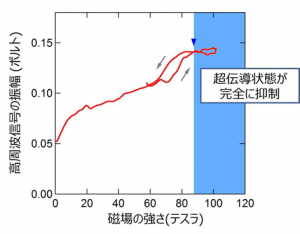 図3. 一巻きコイル法を用いて発生した強磁場中での、銅酸化物高温超伝導体の電気伝導度測定の結果。85テスラ以上で超伝導状態が完全に消失することを観測しました。