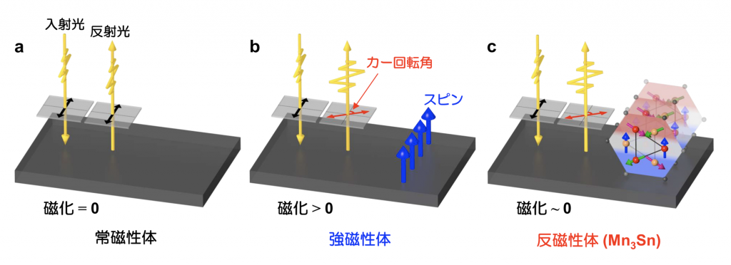 図1　磁気光学カー効果の概念図 (a) 磁化を持たない常磁性体では、直線偏光は入射と反射の際に偏光面の角度は変化しない。(b) 強磁性体では自発磁化の向きに対応して反射光の偏光面に回転が起こり、これが磁気光学カー効果として知られている。(c) 通常、磁化の総和がゼロ、もしくは非常に小さい反強磁性体では、常磁性体と同様に磁気光学カー効果は期待できないが、今回開発した反強磁性金属Mn3Snではクラスター磁気八極子が光に作用することで、磁場も磁化も無い状態においても強磁性体に匹敵する偏光面の回転が起こる。