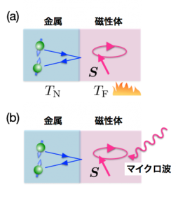 図１　金属と磁性体の二層膜試料におけるスピン流生成。