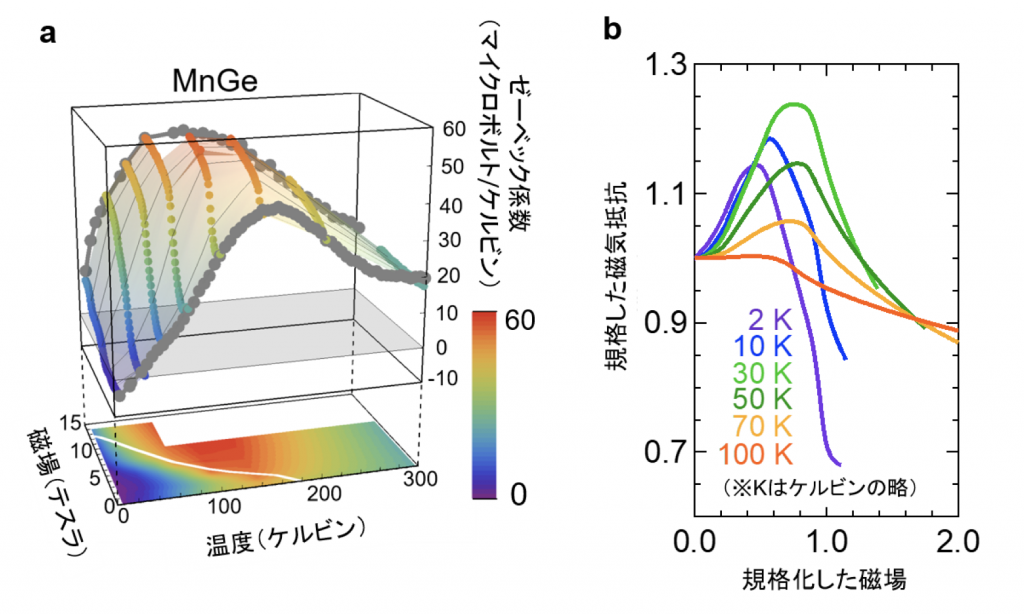 図２　(a) MnGeにおいて観測された巨大熱電効果と(b)異常な磁気抵抗 (a)ゼーベック係数を温度と磁場の関数に対してプロットした図。底面はゼーベック係数の強度のカラープロットになっており、白い線は磁気モノポールと反モノポールが対消滅を起こす位置を示している。対消滅に向けて磁場をかけるとゼーベック係数が大きくなる様子が分かる。 (b)各温度の磁気抵抗をゼロ磁場の値で規格化したもの。横軸は実際の磁場に対して、各温度で磁気モノポールと反モノポールの対消滅が起きる磁場の値で規格化を行った。対消滅が起きる直前で磁気抵抗が大きく増大しており、これは仮想磁場の大きな揺らぎによって電子が散乱されているためと考えられている。