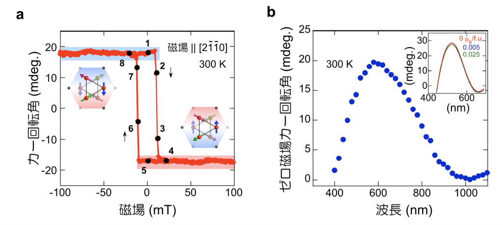 図3 反強磁性金属Mn3Snの磁気光学カー効果の磁場(a)と波長(b)依存性 (a) 室温 (300 K) での磁気光学カー効果による偏光面の回転(カー回転角)の磁場に対する応答と対応する磁気八極子のスピン構造。(b) 室温、ゼロ磁場下での自発的なカー回転角の光源の波長依存性。インセット: 理論計算によって求められたクラスター磁気八極子がもたらすカー回転角の波長依存性。実験結果と類似の波長依存性を示していることに加え、クラスターの持つ自発磁化を0から0.025 μBまで変化させてもカー回転角が変化しないことがわかる。