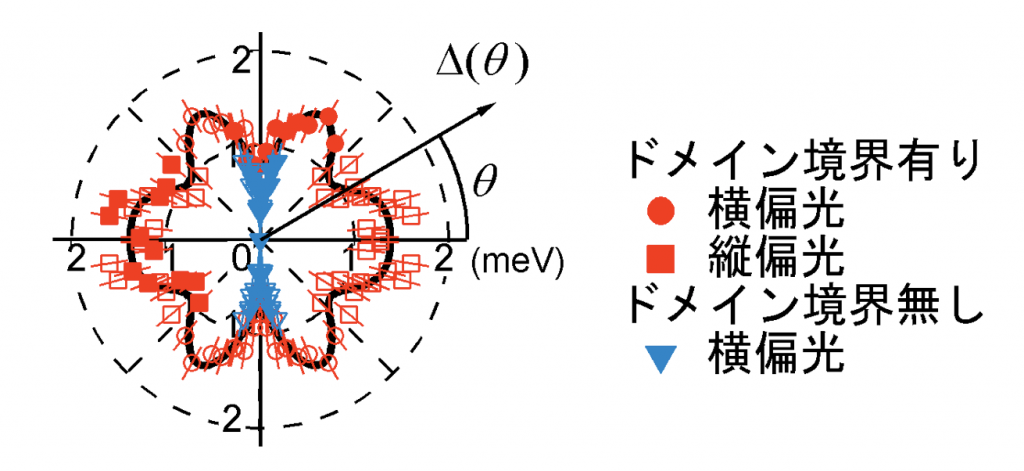 図３：鉄系超伝導体FeSeの超伝導ギャップの異方性Δはクーパー対を作る「のり」の強さに対応する超伝導ギャップの大きさ。θは電子対の運動方向である。ドメイン境界が多く入った試料では、用いたレーザーの偏光方向を切り替えることによってすべての運動方向に対応する超伝導ギャップの大きさを測定した。ドメイン境界の無い試料においては、θ＝±90度の方向に運動する電子はクーパー対を形成しない「ノード」になっていることが明らかになった。