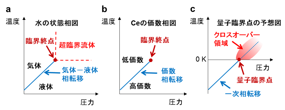 図1：水における液体－気体相転移（a）とCe単体金属における価数相転移（b）相図と量子臨界点の予想図（c）。 液体－気体相転移（図１a）も価数相転移（図１b）も共に一次相転移ですが、圧力や温度を調整することで一次相転移が消失します。価数相転移の場合、この臨界終点の周辺で、クロスオーバーと呼ばれる一次相転移の影響で強いダイナミクス（揺らぎ）をともなった状態が現れ、臨界終点で揺らぎが最も強くなります。この特徴は、水の超臨界流体と非常によく似ています。水の場合は臨界終点を絶対零度に移動させることはほぼ不可能ですが、価数相転移の臨界終点の場合は可能です。臨界終点が絶対零度にある場合、その点がまさに量子臨界点であり、図１cのように量子臨界点から延びる点線の周りの赤いクロスオーバー領域に異常金属状態が現れると期待されます。