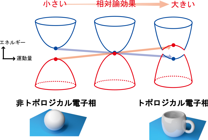 図１：本研究で観測された相対論効果によるトポロジカル相転移。 　相対論効果の大きさに依存した電子構造の変化。相対論効果が充分大きくなると電子構造の反転が発生する。この反転が起源となり、物質内部のトポロジーが変化して非トポロジカル電子相からトポロジカル電子相へ転移する。通常、相対論効果が小さく反転が起こる前が非トポロジカル電子相となり、相対論が大きく反転が起こったあとがトポロジカル電子相となる。