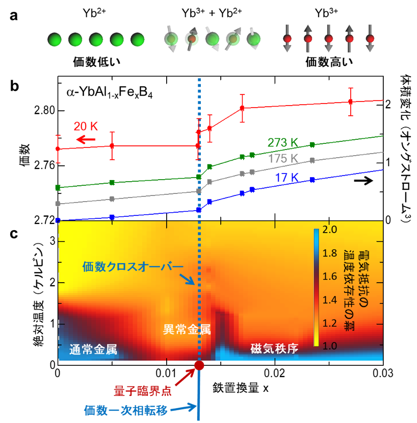 図3：α-YbAl1－xFexB4の鉄置換量xに対するイッテルビウムイオンの状態と価数・体積・電気抵抗の変化。 （a）イッテルビウムイオンの価数が低い状態（非磁性）と価数が高い状態（磁性）とクロスオーバー領域における価数が揺らいだ状態の模式図を示しています。矢印は磁性の向きを表しています。（b）絶対零度で量子臨界点が現れる鉄置換量にて絶対温度20 K（−253 ℃）における価数と17 K（−256 ℃）から273 K（0 ℃）までの体積に急激な変化（クロスオーバー）が表れます。（c）イメージプロットは電気抵抗の温度依存性の冪（抵抗率ρ(T) ∝T nでのn値）を表し、量子臨界点周辺の極低温や価数クロスオーバー（点線）領域では冪が通常金属で現れる2より小さく、異常金属状態となっています。価数が低い領域では極低温で通常金属、価数が高い領域では磁気秩序状態を表しています。また、価数の一次相転移線（図下部の実線）は、仮想的に絶対零度より低い温度にあると考えられ、一次相転移線が絶対零度に接する点（●印）で一次相転移が消失し量子臨界点が現れます。