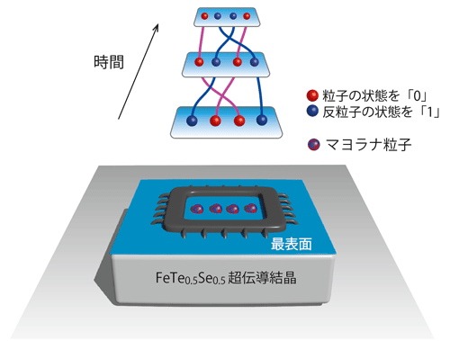 図３　表面に出来たマヨラナ粒子を用いた量子コンピューターの模式図