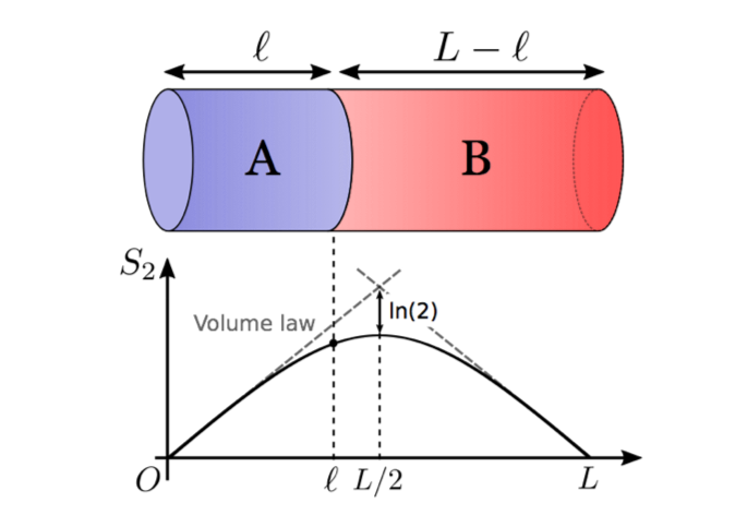 量子もつれの空間分布のグラフ。物質をAとBの２つに分けた時に、AとBの間にどのくらいの量子もつれが生じているかを縦軸に、物質Aの長さを横軸にプロットしてある。