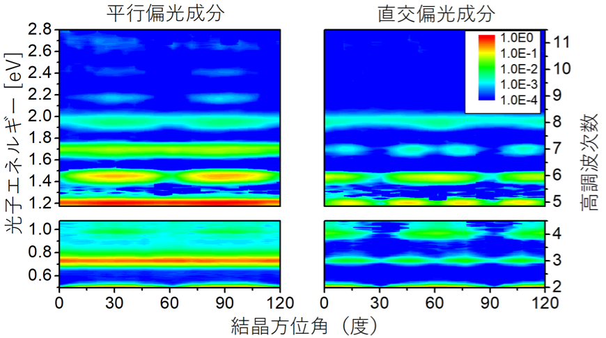 図1．偏光分解した高次高調波スペクトルの結晶方位依存性 偶数次高調波の平行・直交成分はいずれも60度の周期を呈し、奇数次高調波の場合は平行成分が60度、直交成分が30度の周期を示している。