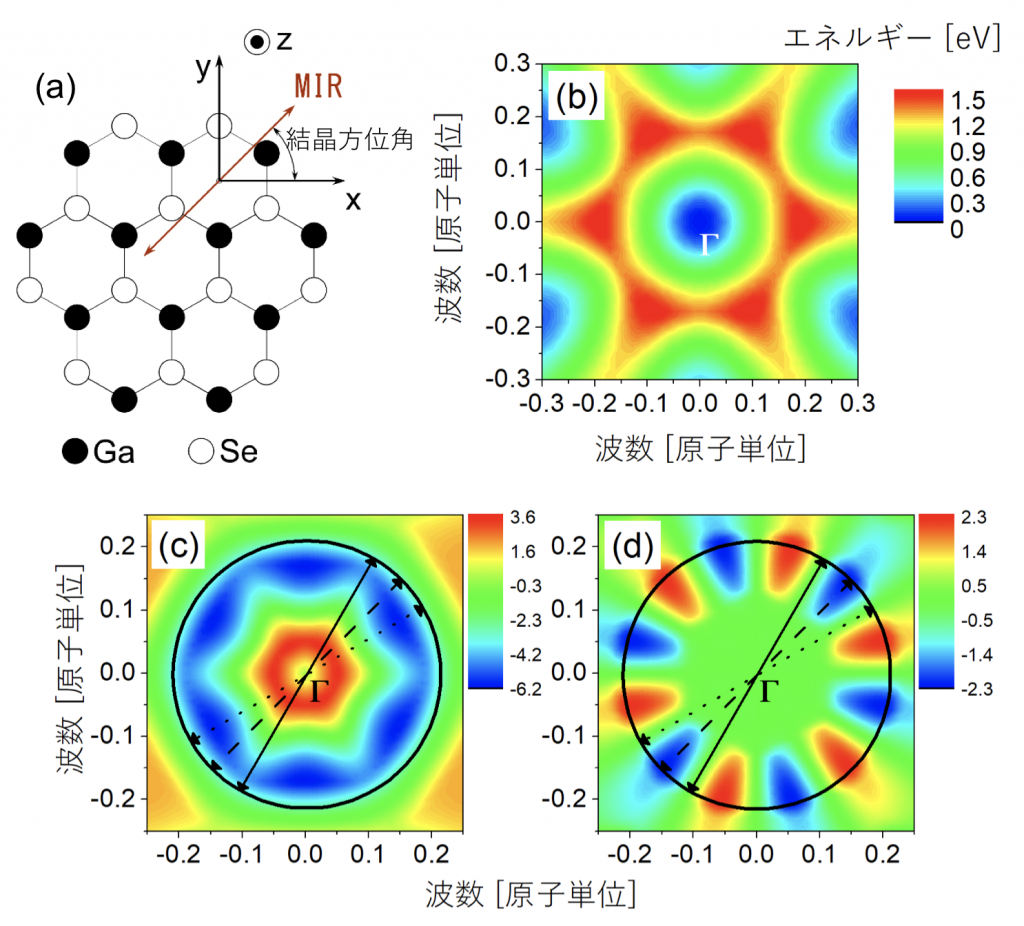 図2．(a) セレン化ガリウムの結晶構造、 (b) 第一原理計算による最低伝導帯のバンド分散、(c) 平行偏光成分を担うバンド曲率、(d) 直交偏光成分を担うバンド曲率