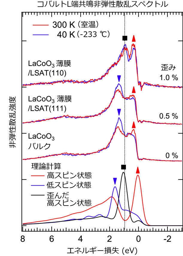 図2 ：コバルトL端の共鳴軟X線非弾性散乱スペクトル。入射X線のエネルギーは、図1(b)においてAの矢印で示したエネルギーで測定している。歪みが異なる薄膜とバルクのスペクトルを比較すると、形状に明らかな違いが見られる。一番下に示した理論計算と比較することによって、0.3 eV付近のピークは高スピン状態、1.0 eV付近のピークは歪んだ高スピン状態、1.3 eV付近のピークは低スピン状態に対応すると考えられる。