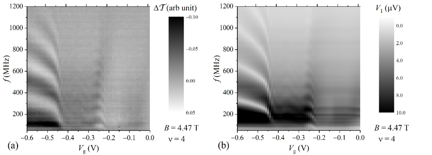 図　(a)マイクロ波透過率、および(b)熱起電力の周波数f –ゲートバイアスV g依存性