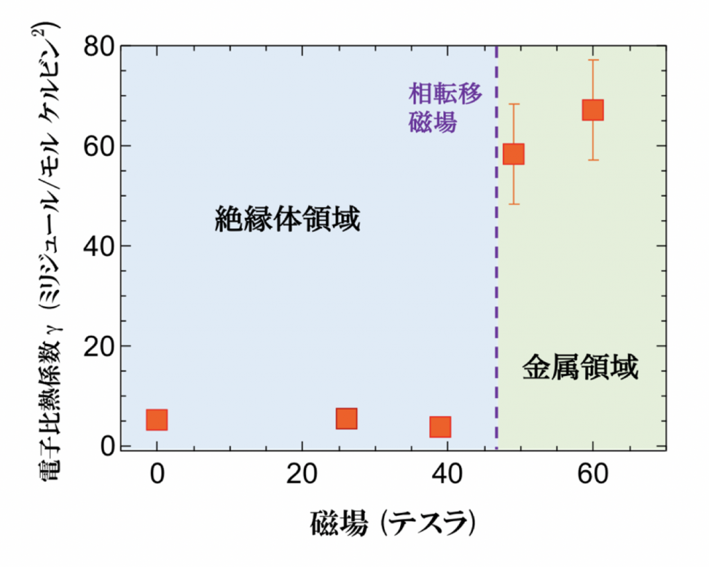 図2.電子比熱係数γの磁場依存性。これより、磁場中金属相では、比熱係数が急激に増大しており、電子の重さが通常金属の数十倍大きいことが分かる。