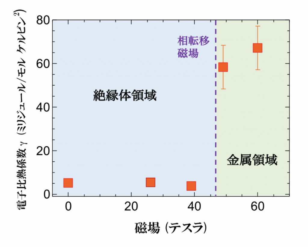 図２．電子比熱係数γの磁場依存性。これより、磁場中金属相では、比熱係数が急激に増大しており、電子の重さが通常金属の数十倍大きいことが分かる。