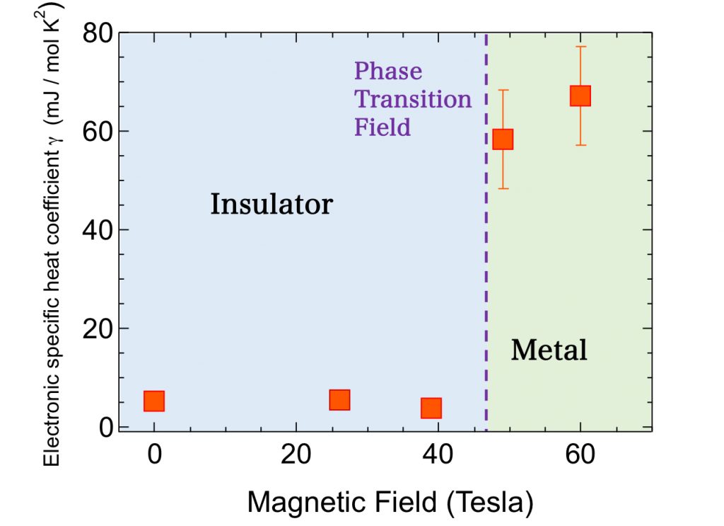 Figure. It shows magnetic field dependence of electron specific heat coefficient γ. In the metal phase in the magnetic field, the specific heat coefficient indicates sharp increase in the electron mass and it becomes tens of times heavier than that in usual metals.