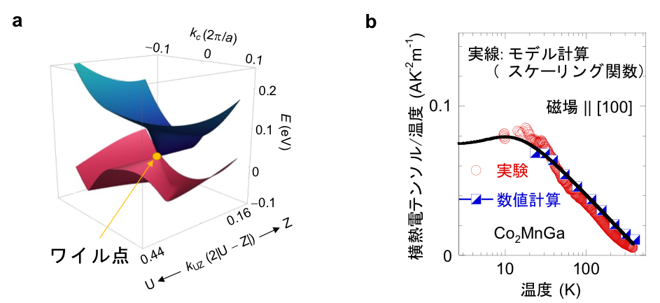 図３．Co2MnGaのワイル点と量子臨界現象 (a)Co2MnGaのワイル点。(b)熱電テンソルの横成分は、実験・第一原理計算ともに温度を下げると対数関数的に増大する。この振る舞いはモデル計算によって得られたスケーリング関数で良く再現される。