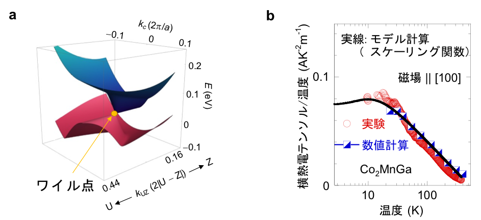 図3.Co2MnGaのワイル点と量子臨界現象 (a)Co2MnGaのワイル点。(b)熱電テンソルの横成分は、実験・第一原理計算ともに温度を下げると対数関数的に増大する。この振る舞いはモデル計算によって得られたスケーリング関数で良く再現される。