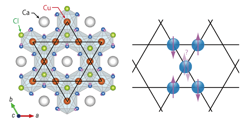 図１　Caカペラサイト石（CaCu3(OH)6Cl2・0.6H2O）の結晶構造［左］とカゴメ格子におけるスピンの幾何学的フラストレーション［右］。 ［左］黒の実線で結ばれている赤丸が磁性を担う銅イオン。理想的なカゴメ格子を形成する。 ［右］カゴメ格子上に置かれたスピン(紫矢印)に対して互いに反対向きになるような反強磁性相互作用が働くとき、全てのスピンを互いに反対向きに配置できない幾何学的フラストレーションの効果が現れる。この結果、スピンが絶対零度まで整列しない「量子スピン液体相」が現れると理論的に期待されている。