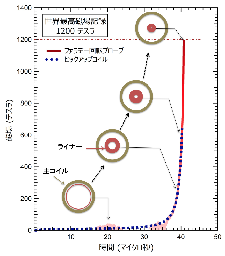 図３　発生した磁場の時間変化とライナー収縮 挿絵、内側のリングが時間とともに収縮するライナー断面の時間変化を示す。ライナーは初期磁場を閉じ込めたまま高速に収縮するため、最終的に直径1 cm程度の小さな空間に強磁場が発生する。ライナーの収縮速度は5 km/秒にも達する。 コンデンサから放電した時刻を0秒とし、コイル中心部の磁場をピックアップコイルによる電気的計測結果（破線）とファラデー回転による光学的計測結果（実線）を示す。両者がよく一致していることから計測の信頼性が裏付けられる。40.7μ秒あたりで、最高強度の1200テスラを記録した。