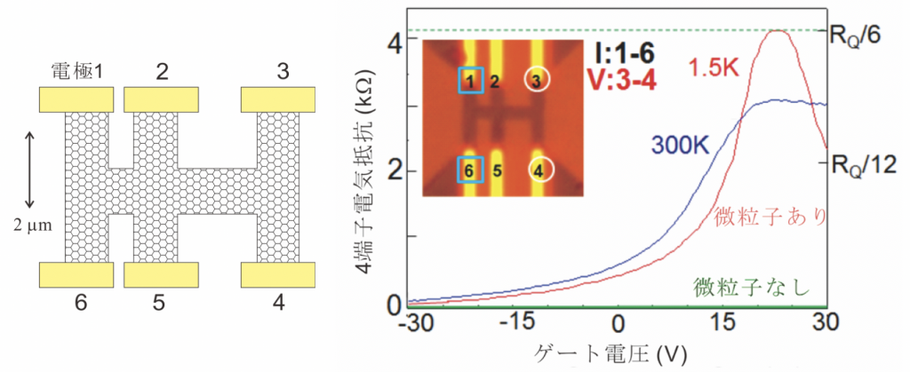 図1左:試料の模式図。図1右:電極1と2の間に一定電流を流し、電極3と4の間の電圧を測って算出した4端子電気抵抗を、ゲート電圧に対して測定した結果。