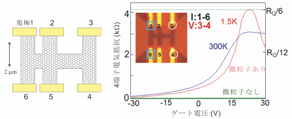 図1左：試料の模式図。図１右：電極1と2の間に一定電流を流し、電極3と4の間の電圧を測って算出した4端子電気抵抗を、ゲート電圧に対して測定した結果。