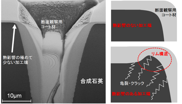 図3 加工後の走査型イオン顕微鏡による断面観察（左）と加工端断面熱影響の概念図（右）