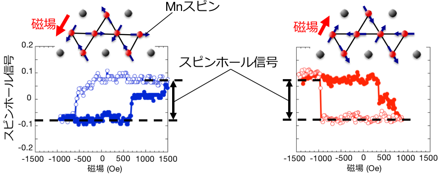 図2：観測されたスピン蓄積信号の例。