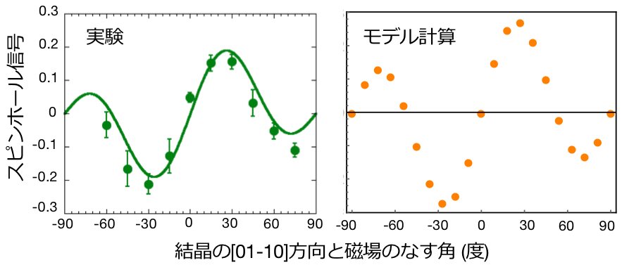 図3：スピンホール信号の磁場角度依存性。左図が実験結果を示しており、右図が磁気スピンホール効果を考慮したモデル計算による結果を示している。両者の比較から分かるように、実験と理論は良い一致を示している。