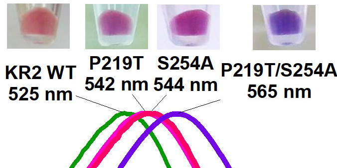 fig3-2