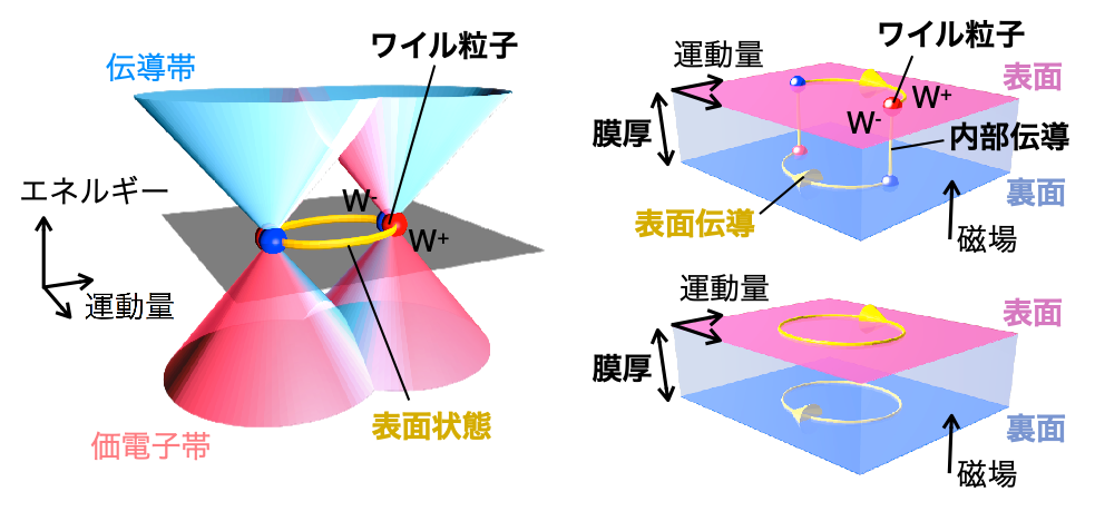 fig1