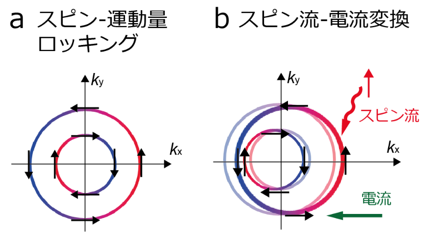 図2. 界面のスピン流-電流変換 a: 界面の電子状態のフェルミ準位等高線 b: スピン流注入による電流の生成の模式図