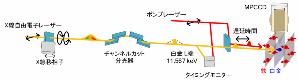 図1：時間分解XMCD測定のセットアップ