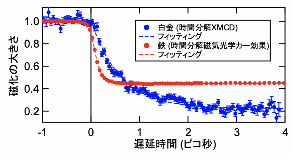 図2：時間分解XMCD測定で観測された磁化の時間変化の様子
