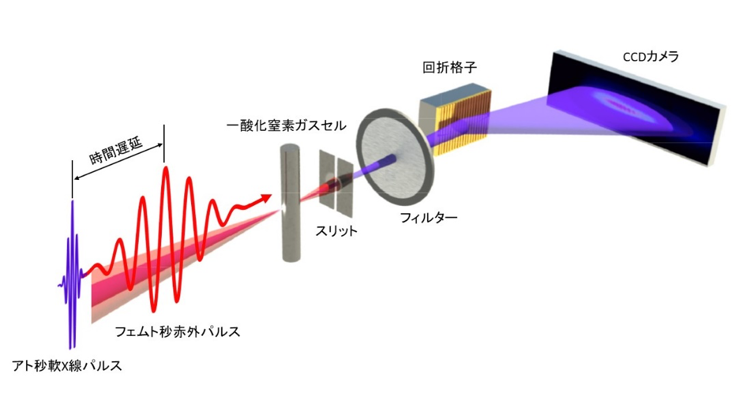 fig1
