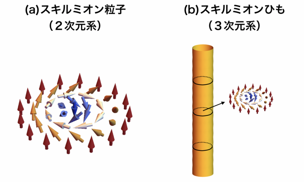 図１：２次元系におけるスキルミオン粒子と、３次元系におけるスキルミオンひもの模式図
