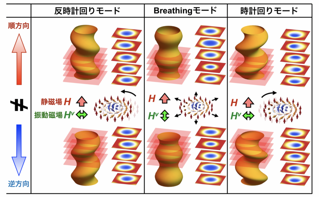 図２：スキルミオンひもが持つ３つの固有振動モードと、その伝搬する様子を示したもの。