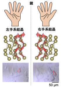 図1. テルル単体の結晶構造。鏡写しの関係にある左手系結晶（左上）と右手系結晶（右上）が存在する。それらは、熱濃硫酸による腐食孔の形（下段の赤枠）で判別することができる。