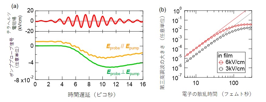 図3ヒ化カドミウムにおける時間分解観測と理論計算