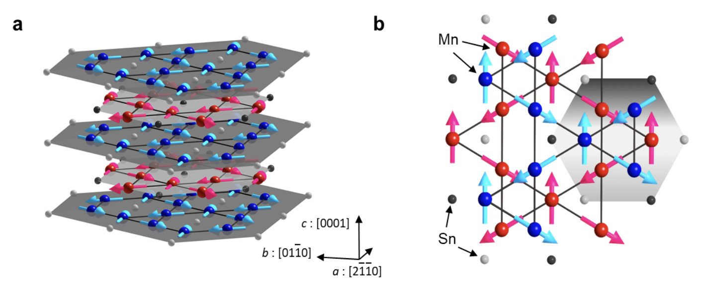 図1 ワイル反強磁性体Mn3Snの結晶構造と磁気構造